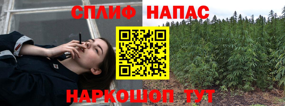 Бошки марихуана гибрид  Вход с VPN  Ростов Великий  Бошки Шишки THC 21%  Бошки марихуана конопля 